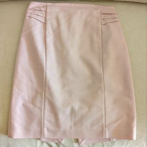 Express Pencil Skirt
